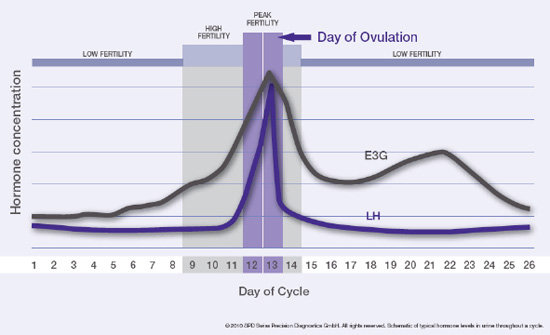 High and Peak Fertility Chart