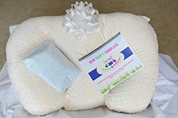 Twin Z Pillow GIFT BOX! 1 Pillow, 2 Covers, 1 Twin Scheduler and a Twin Baby Greeting Card (1 Blue &...